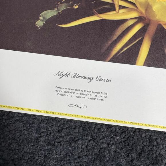 Vintage Mid Century Hawaii Lithographs by Werner Stoy - S/6 - 1960s Photographs - Picture 7 of 13